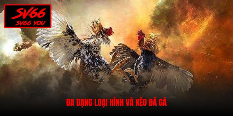 đá gà sv66